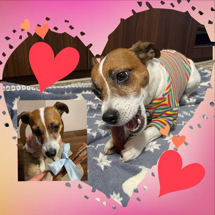 59b71f4f 0a6a 468d b2e9 4346620bb6ad 1707898539262