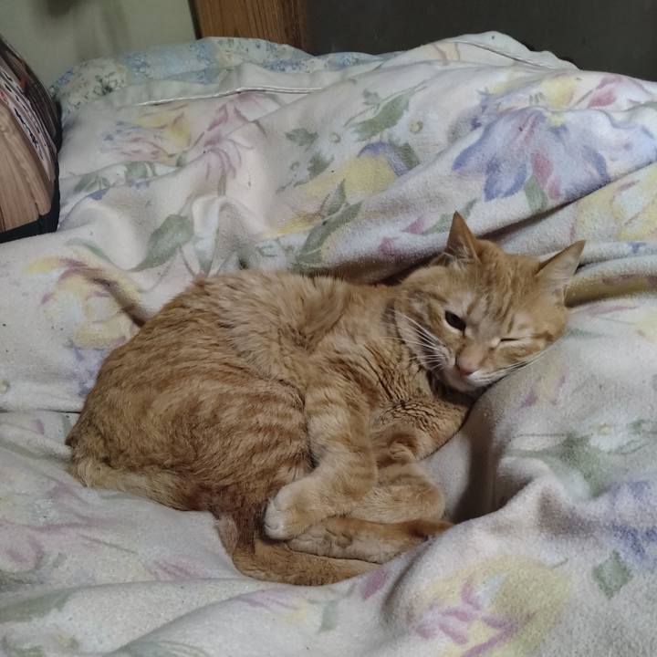 59b7221a f306 484c a7e0 d208ac2a8fad 1677673831886