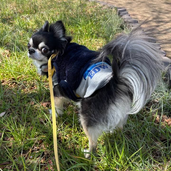 59b74c84 f32c 4bcb 8ae5 459b69fa1caf 1742487141363