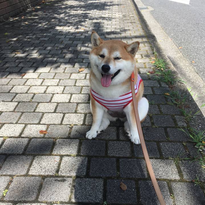 59b74e66 d27d 45b7 9308 c1f1c298abb2 1565571318544