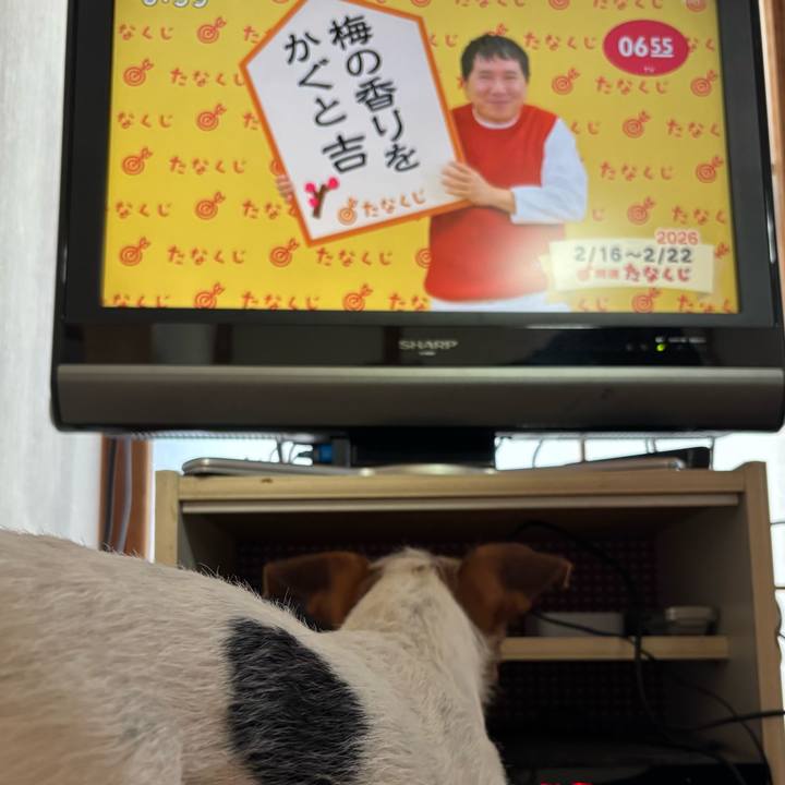 59b75f79 af4b 4300 96de 3ad9ec5ab2db 1771194369885