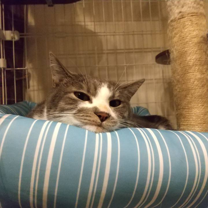 59b783f4 5718 40bc 9895 bf590abe1d01 1608457356638