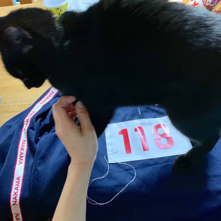 59b78805 38f7 41de 8a54 cbb70e1e0e9b 1555340242537