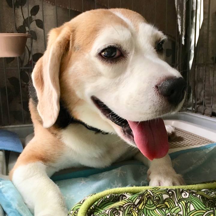 59b793c3 9675 49d1 85da 5f2ed5e9af1c 1567135029800