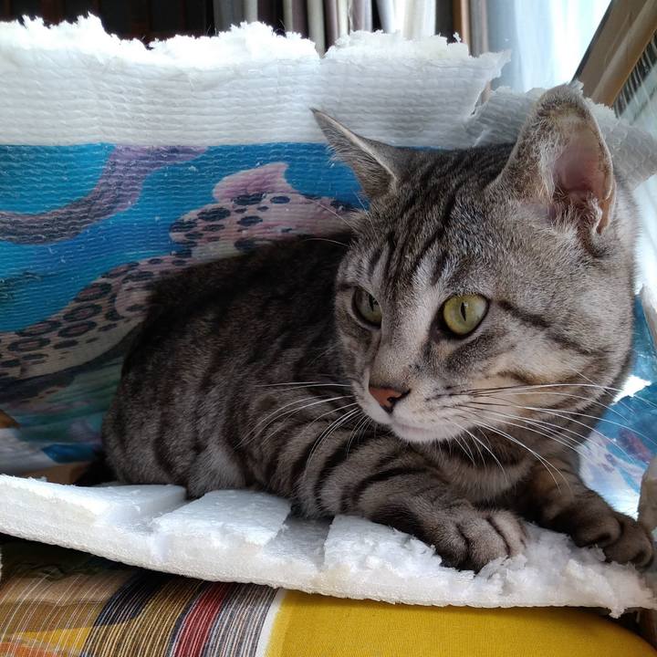 59b79417 c9d1 4e0f 8c35 9e090e2288b8 1677124968230