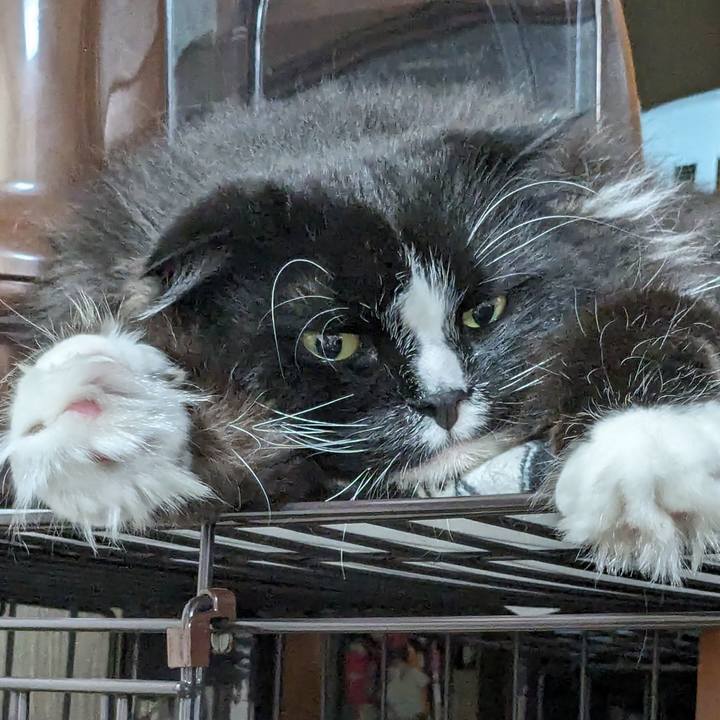 59b7a25f f7c4 4e71 b07d 216a5d97cd32 1718544272505