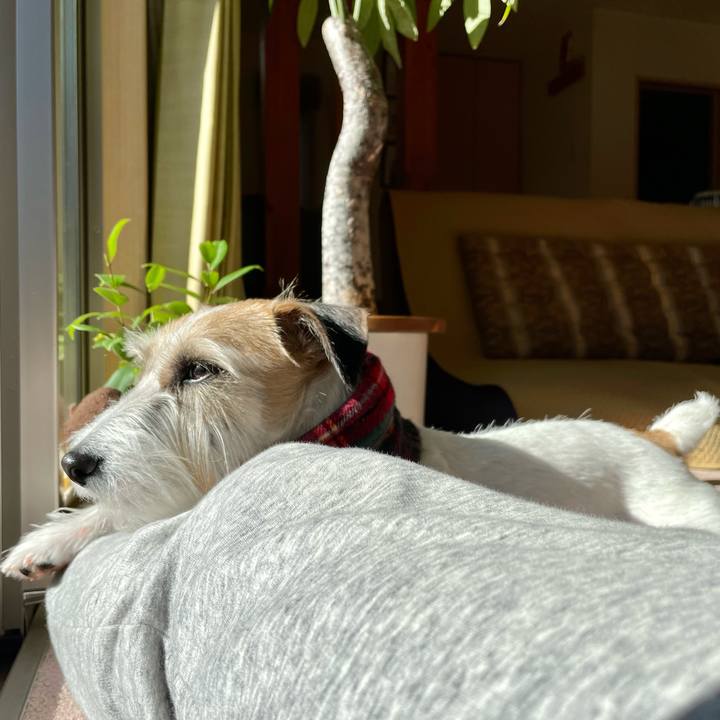 59b7dd95 a258 4352 b80b c2b4b5b5e05d 1672312318851