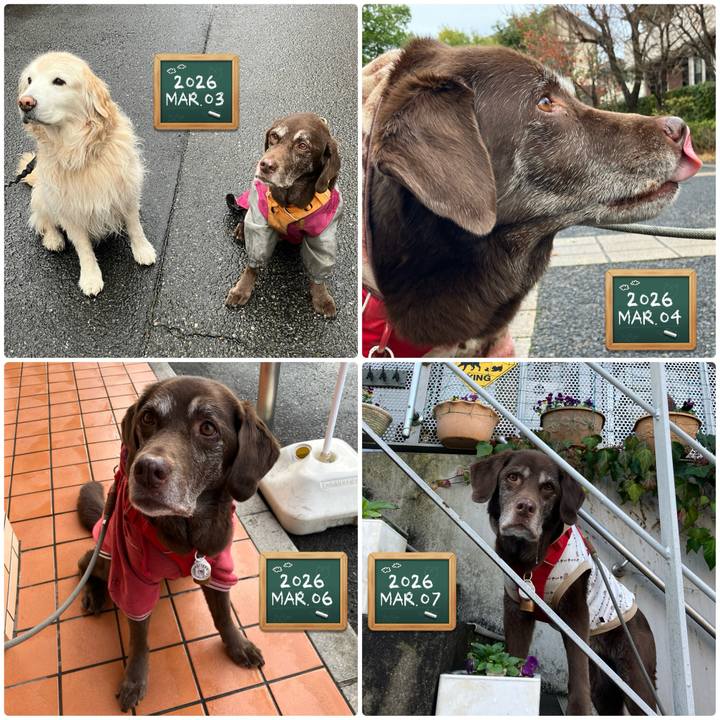 59b7ee88 6a9f 4517 a7c9 0e4171dfaa00 1772848822518