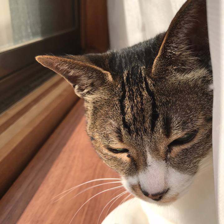 59b80cd1 c0a8 425d 8731 8ac39d68f1d2 1520817461331