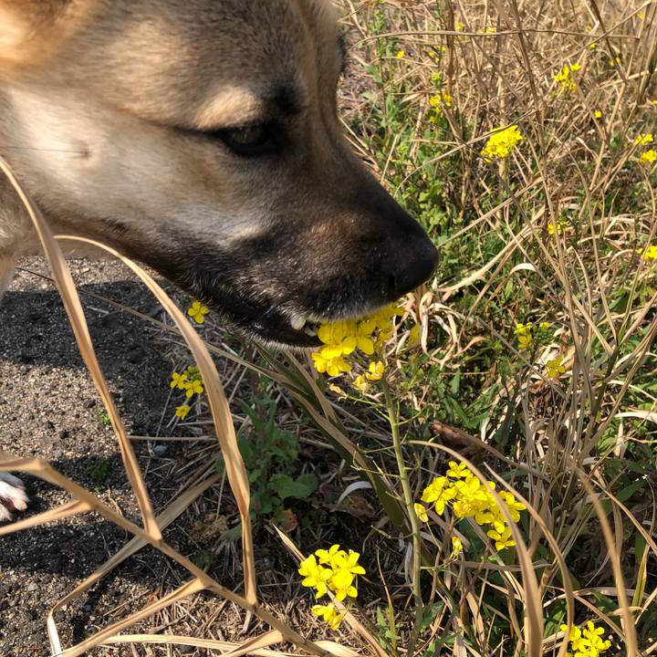 59b8505c aeed 4ae4 a81f e0779de9507a 1520746159905