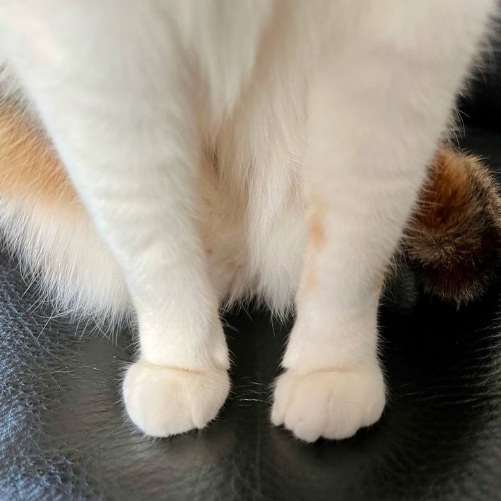 59b858c8 91b6 4754 b116 a3d982121719 1772854925047