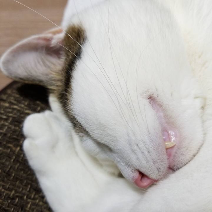 59b85982 7cc2 4aa2 a4ff 85e5a52c5842 1570270091780