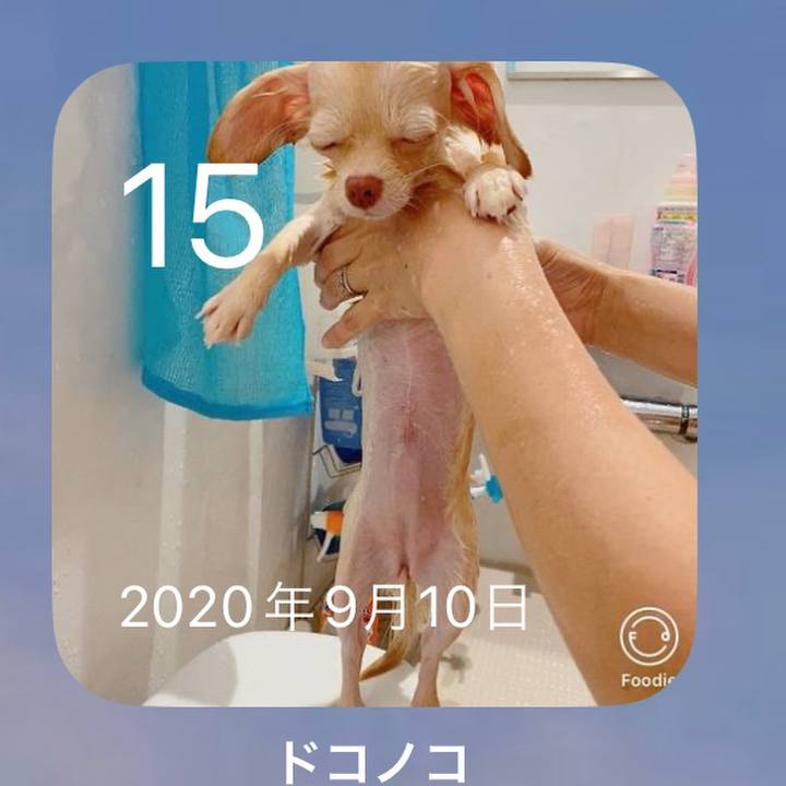 59b88d25 7e75 430f a85d 883a6994d062 1694772763380