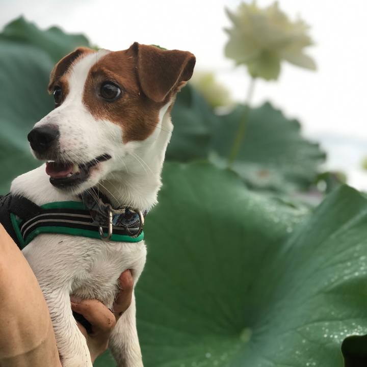 59b898df f49b 4a3d bf5b d3050d9319e4 1565257062094