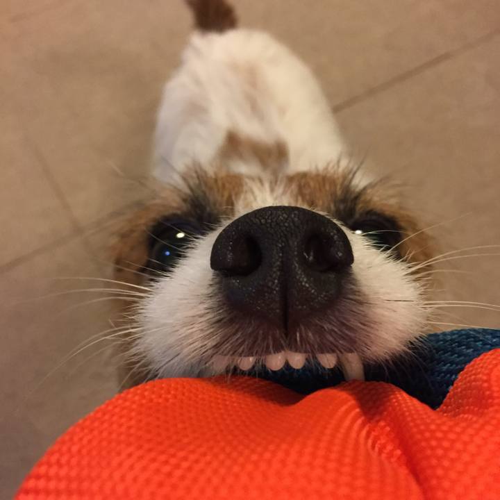 59b8af7e 63ef 412d bb37 428ddb5a9f8c 1509864845914