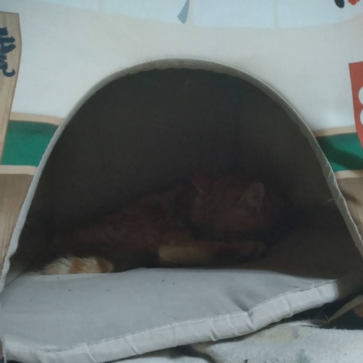 59b8fbb2 ba50 4ff1 9b7c a9cf26978237 1681304100507