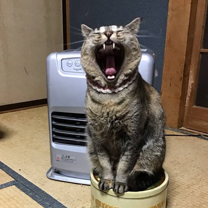 59b973ba 1f53 422a 9d74 9848fa477c68 1711448881479