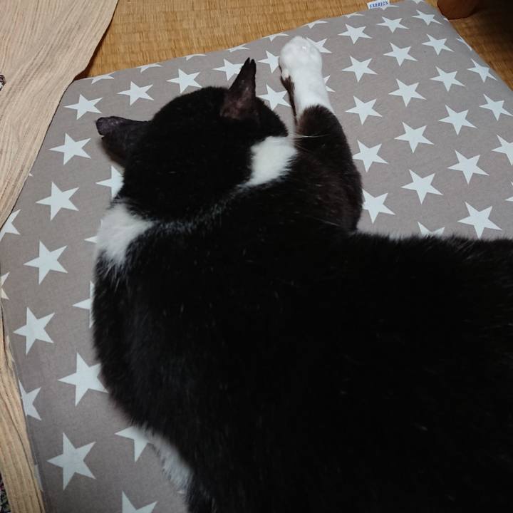 59b97866 0479 4c9b b893 80d82194d76f 1632750278902