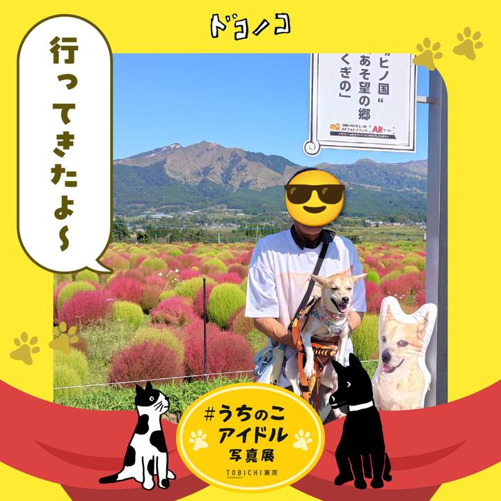 59b991f9 1ab6 409b a15c 9ce2fe12a0a8 1761434841580