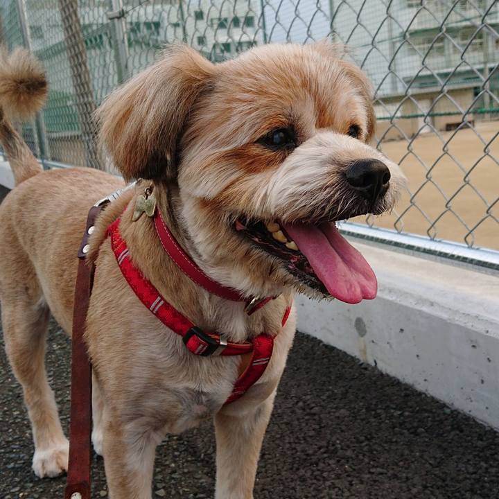 59b9af88 60e7 434e bfc9 8bb0980dee38 1598089636353