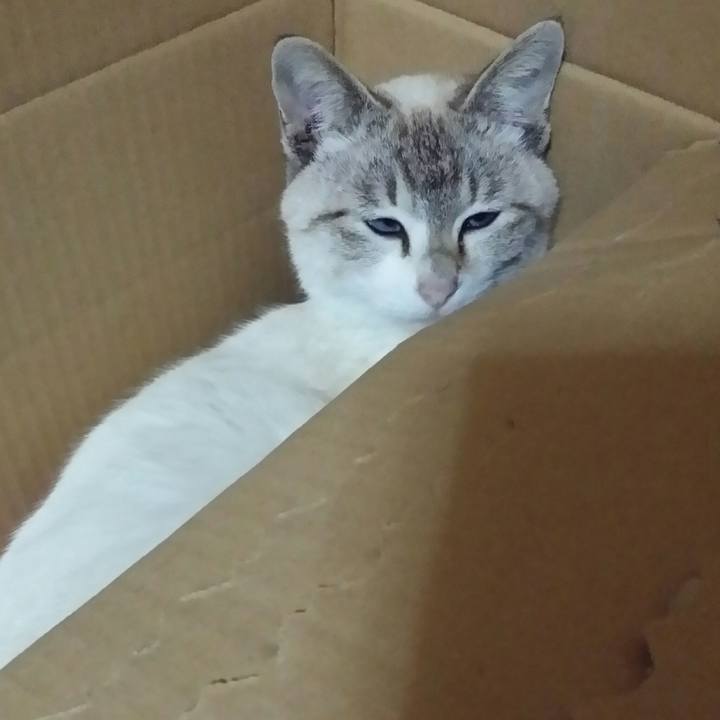 59b9ef94 e8fa 4d59 833b fffcaf283495 1523148309459