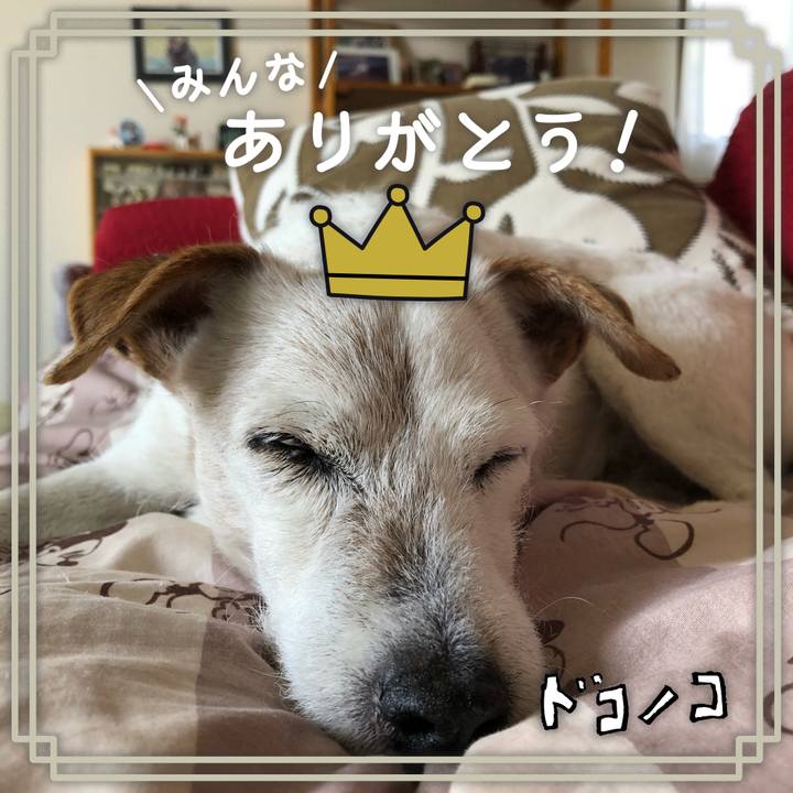 59ba1281 aec1 4b67 8f01 1e9e773365bc 1623674770293