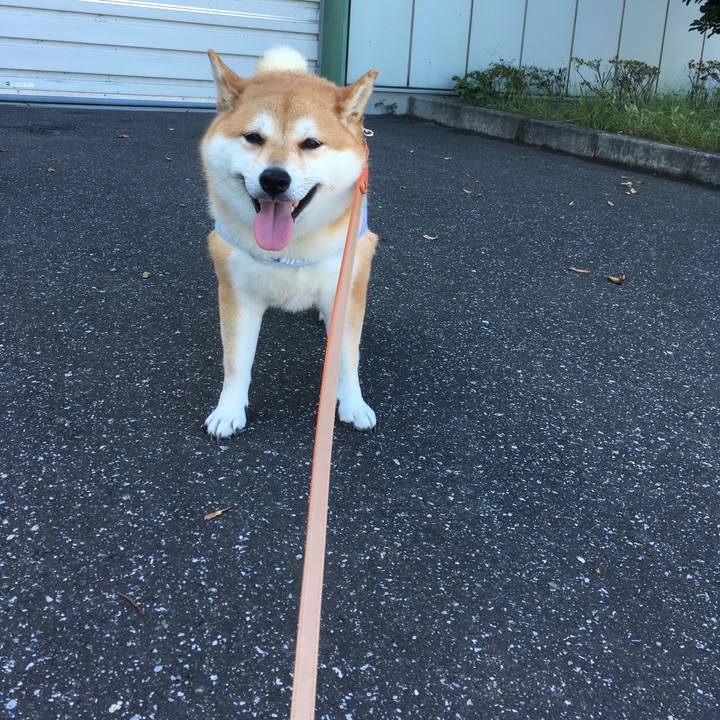 59ba1e0d ec3d 440a a5d5 259dd9826b55 1538793230384