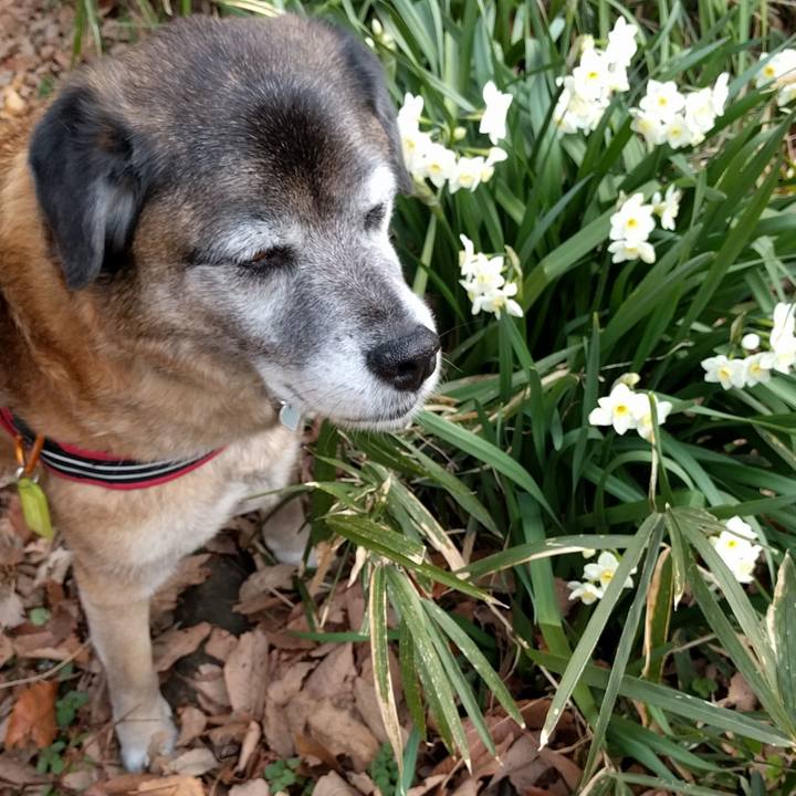 59ba2fea 21d1 491a 90a7 1a130c9b0e83 1552950835753