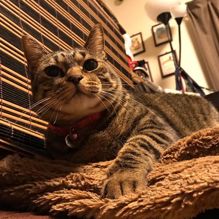 59ba322a f862 4273 8772 2de12dabaf06 1555606976413