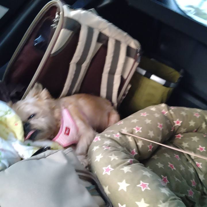 59ba3781 e968 4747 82cb b202921f631d 1598667349045