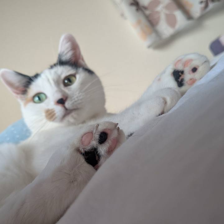 59ba6500 7589 4a12 a966 b080fcf1ad76 1756072356954