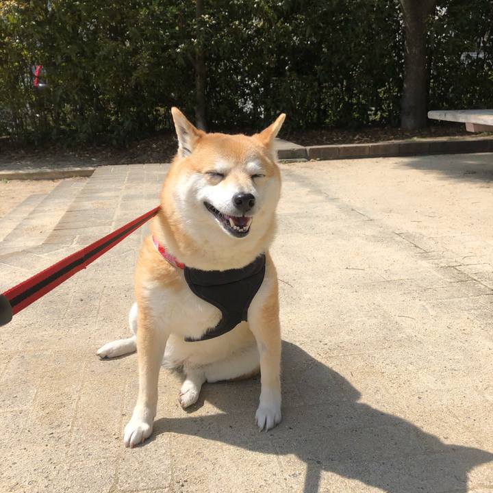 59ba7024 2468 41f6 aedf a35c3e02ffad 1555569795084