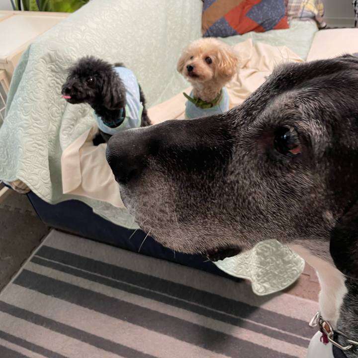 59ba8889 af9c 4684 9c99 b9055b6094da 1654034600305