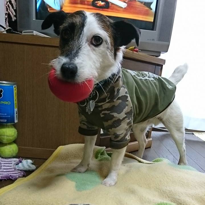 59baa902 d038 4bff be92 dbddf6e1e975 1586522461315