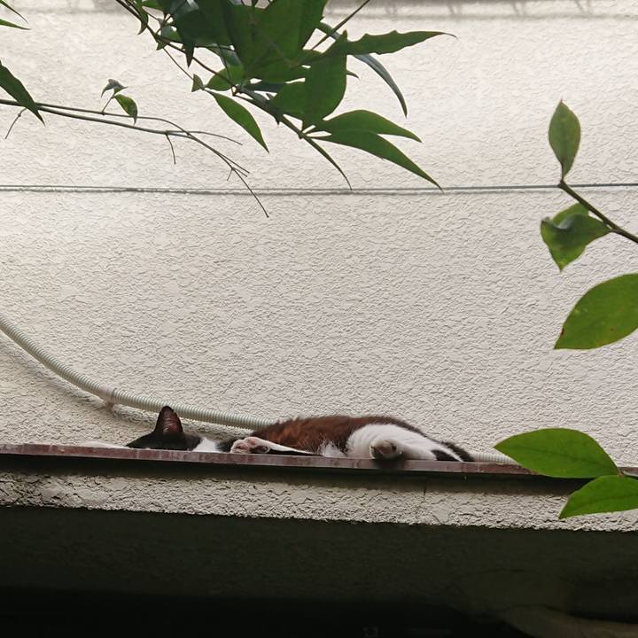 59bb0a12 677a 4f85 b22a 1832273d1e41 1568506872192