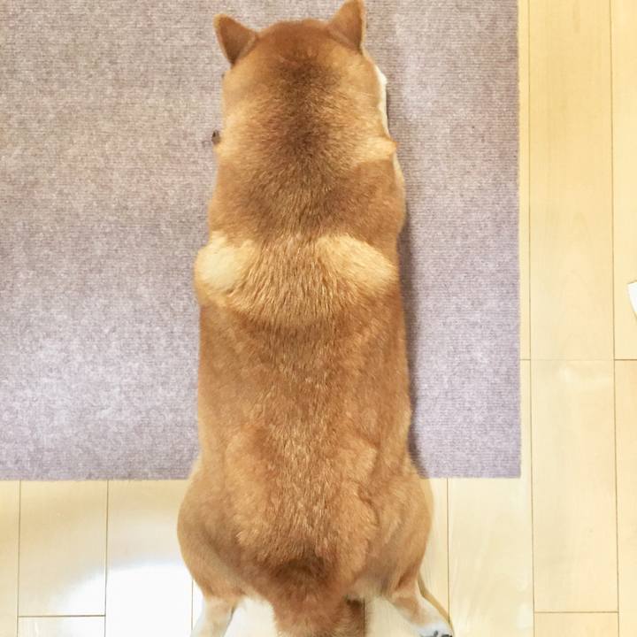 59bb1c6f 57e7 43bb 9935 6b7e0adc098c 1612668455924