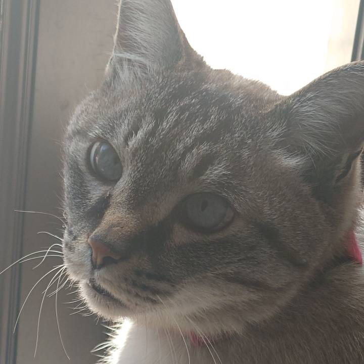 59bb3311 4872 4a97 a9b8 4fa9e2977874 1744085488816