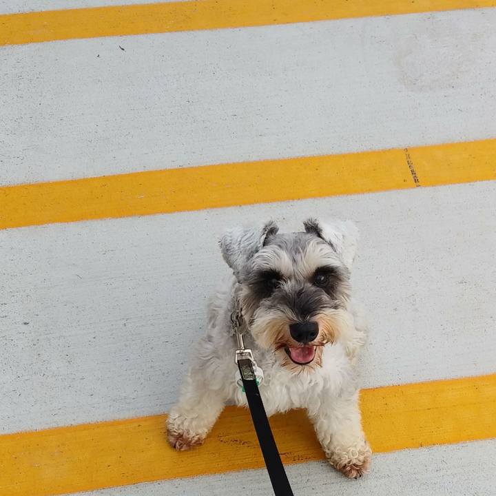 59bb7d28 db6d 4646 a8e3 8847d33521a6 1537664584519