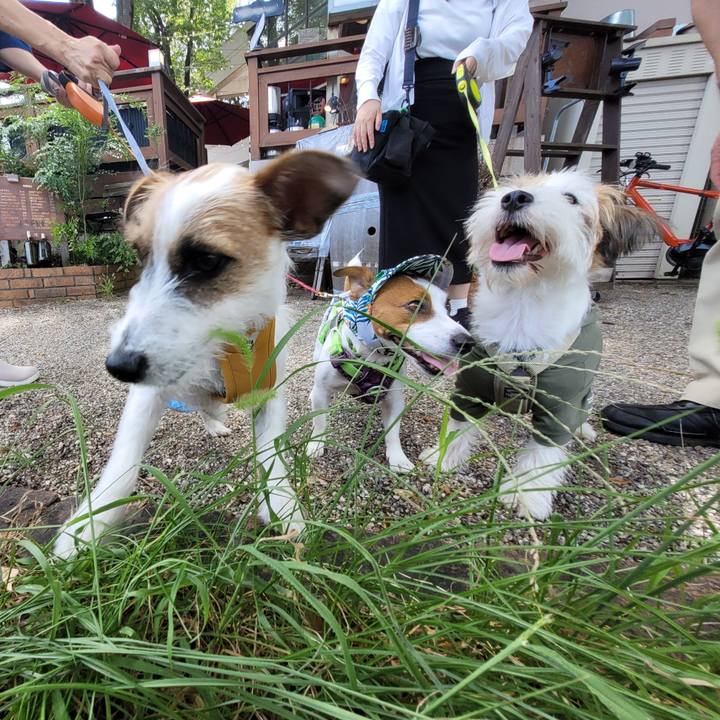 59bb890e da3e 4152 bca5 f058d09c2cea 1693658269982