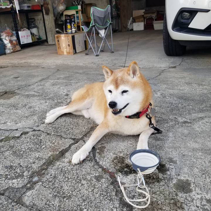 59bb9143 ae3a 4885 84bd e4f2cb4677d4 1729923810580