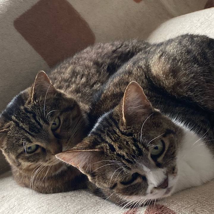 59bbc1c7 d1c5 4ec5 826f d2f7627e7575 1684026149181