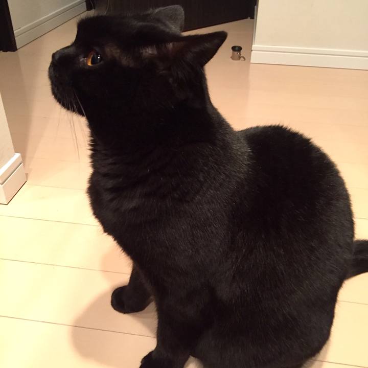 59bbdcc4 716a 4d11 90eb bc31336a3d70 1550752316885