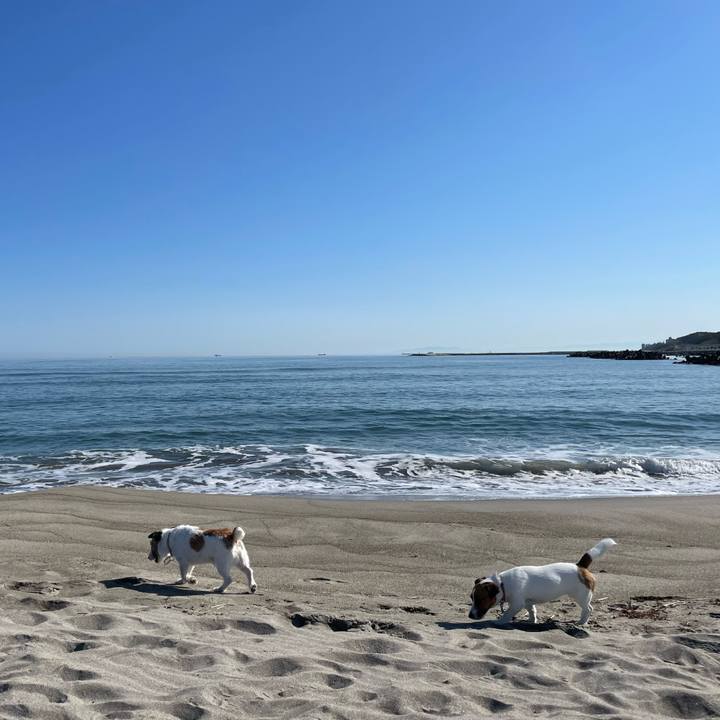 59bbef9e a158 4faa bc46 f61897555cb9 1652140990872