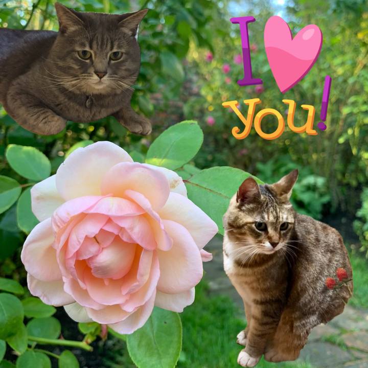 59bc0411 4f79 49b2 a6d7 cc0b5f3ff1cf 1728164757500