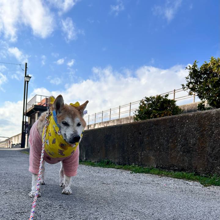 59bc0ff4 14be 4fed afb8 7667a918e9dd 1766123896415