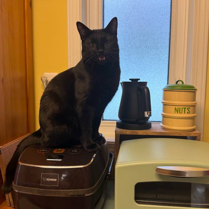 59bc8cad bfcf 40d4 8011 d926b43c3ddf 1770940654873