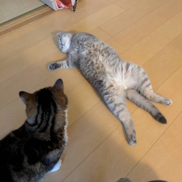 59bcda02 917a 40ba a815 7af926a8dadb 1765589541567