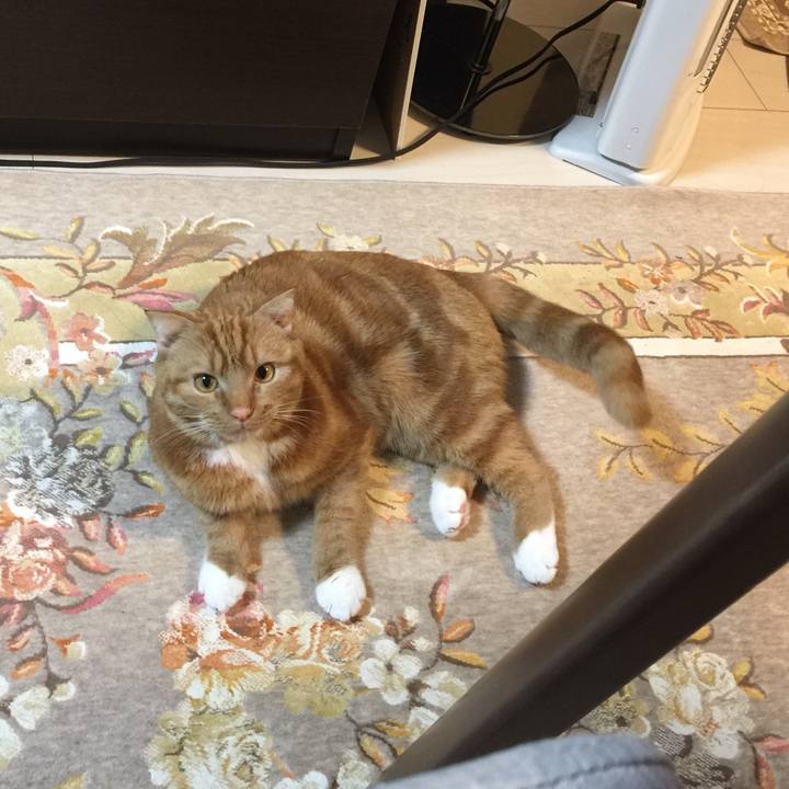 59bd0719 0c56 4fed b322 cebded896b6e 1519531605655