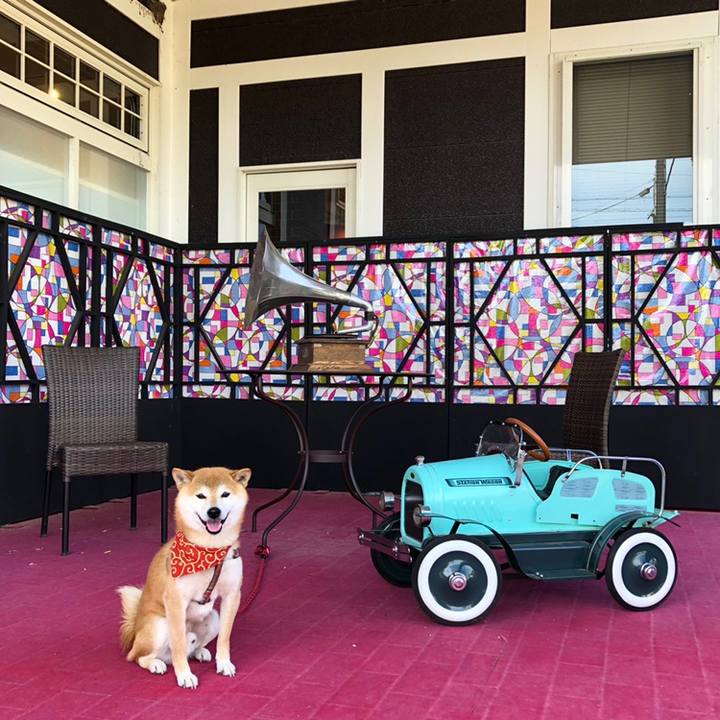 59bd1672 2819 4bba a283 e7fa71c56e07 1559206251270