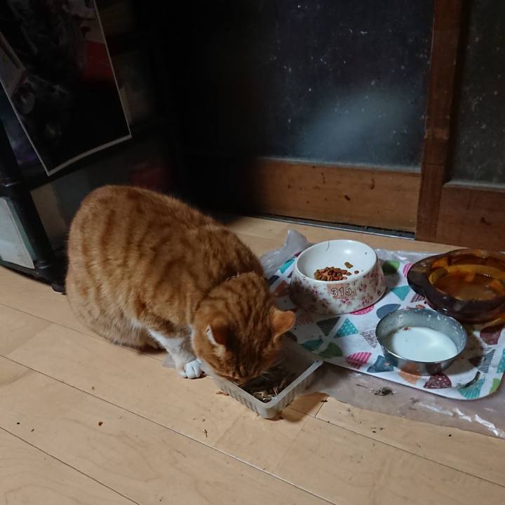 59bd2c2e bd12 4b5a bbd3 8474d7e27731 1607284791320